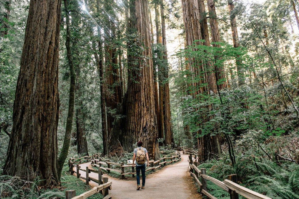 Man wearing gray t-shirt standing on the crosspaths in forest.