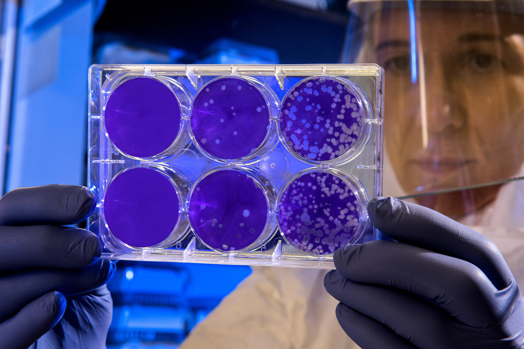 Scientist holding and examining laboratory apparatus that holds virus particles.