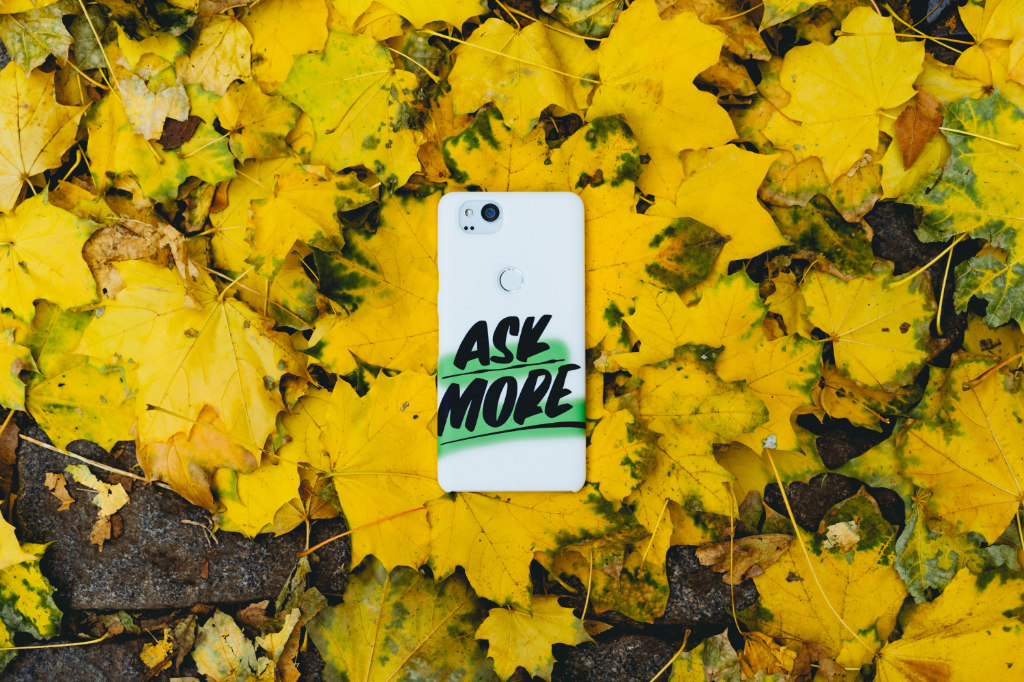 A white smartphone on yellow maple leaves with the text "Ask More" written across it.