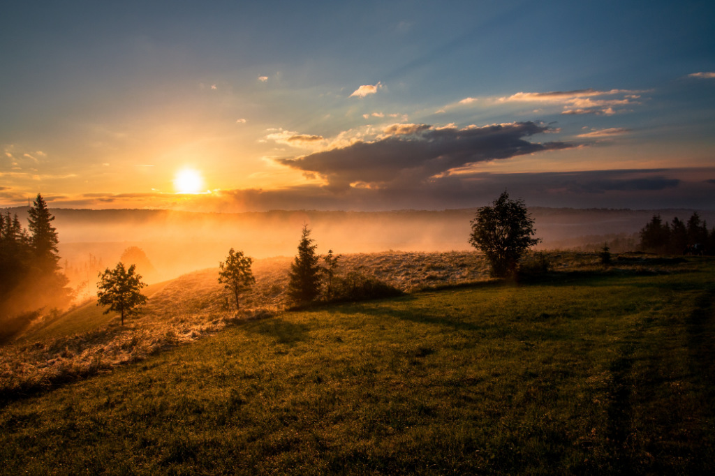 Trees emerging from the mist under cloudy sky during sunset.